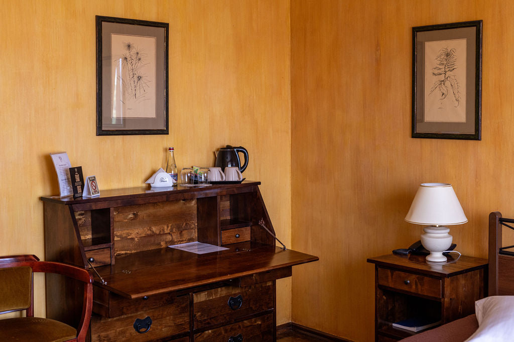 Klasikinis vienvietis