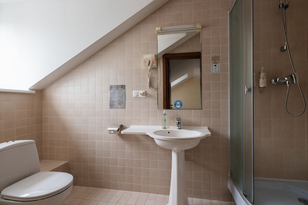 Ekonominės klasės vienvietis