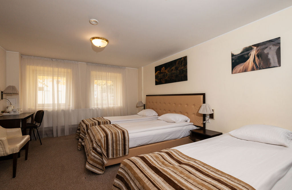 Ekonominės klasės trivietis