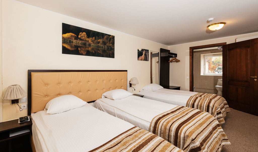 Ekonominės klasės trivietis