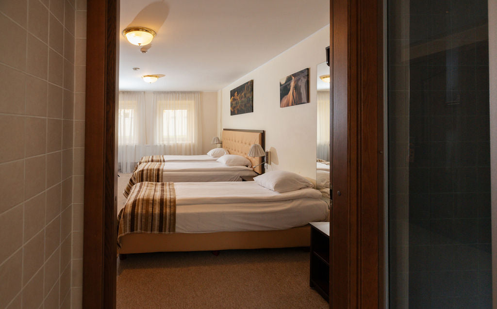 Ekonominės klasės trivietis